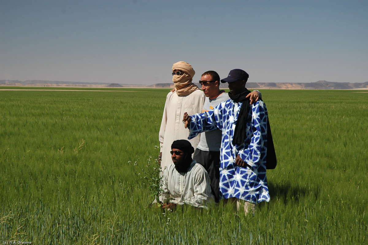 This is how it must have been till 6000 BC when the Sahara was still green. Now it looks like a fata morgana, even to our drivers who pose for their own pictures. But it is real, created by water pumped up from underground reservoirs stored for millennia in porous rock between impermeable layers.