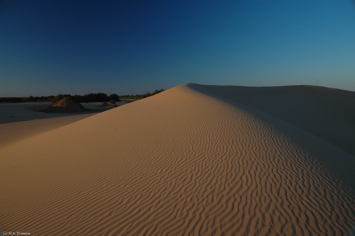 A dune rippled by the wind.