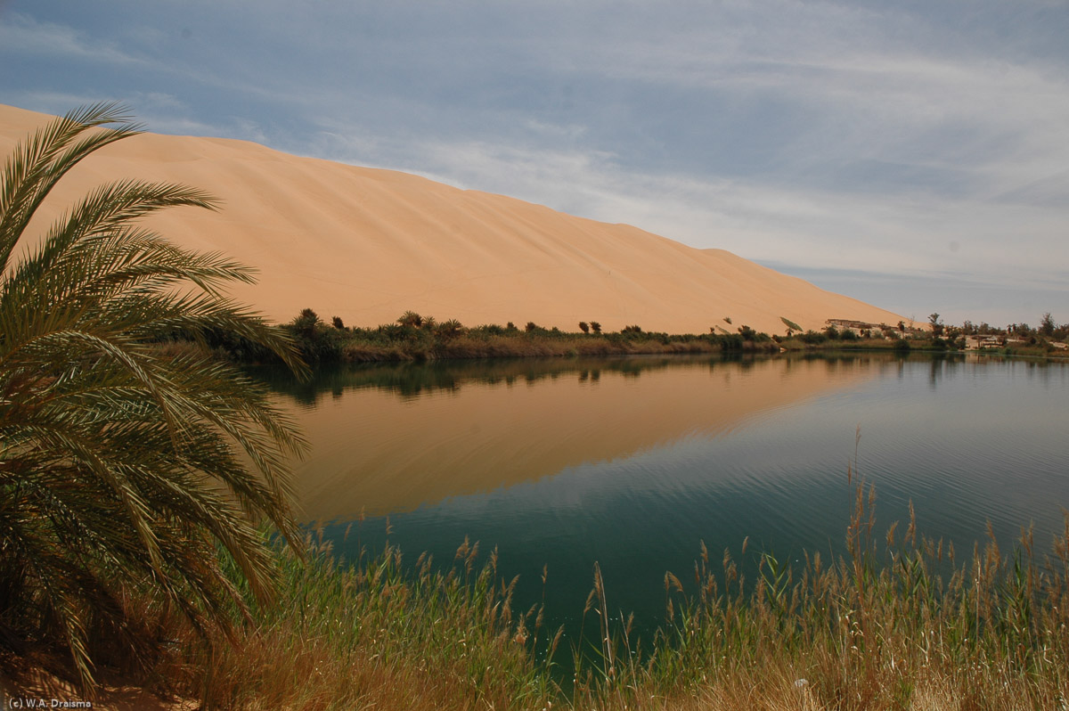 Gebraoun is one of the largest lakes in the Sahara, measuring about 250m by 300m. The lake gets its name from a local notable Aoun who is buried in the dune overlooking the lake (Grave of Aoun). The lake is surrounded by reeds and palmtrees and reportedly "very deep".