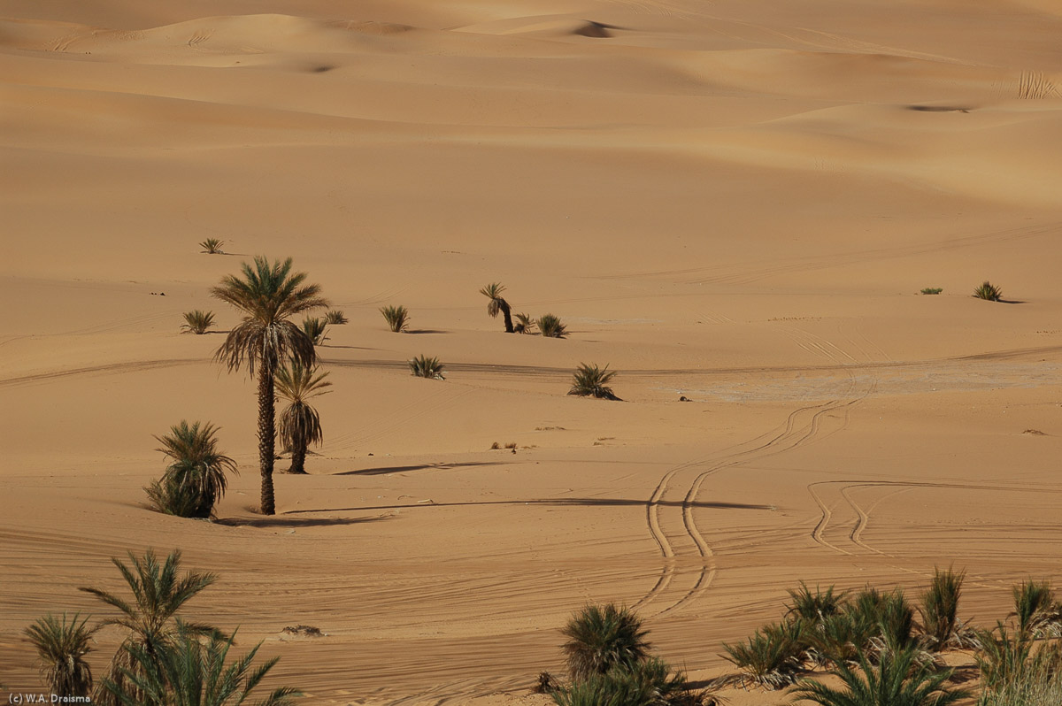 The number of people visiting the Ubari lakes is high resulting in many tracks in the sand.