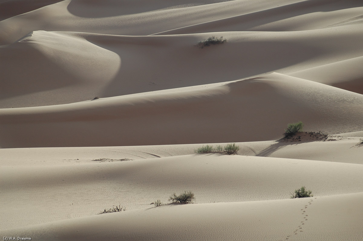 While driving to a suitable spot to camp for the night we pass many spectacular sand formations.