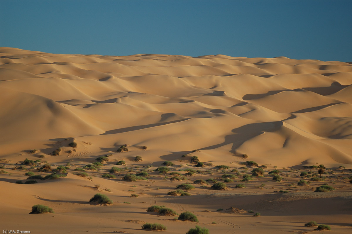 Opposite our camp the sun's illuminating a distant row of dunes.