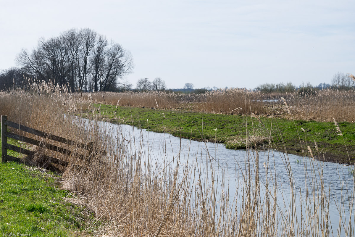 The Tienhovens Kanaal also forms the southern border of the Tienhovense Plassen, a marshy area created by extensive extraction of turf from the surrounding peat lands.