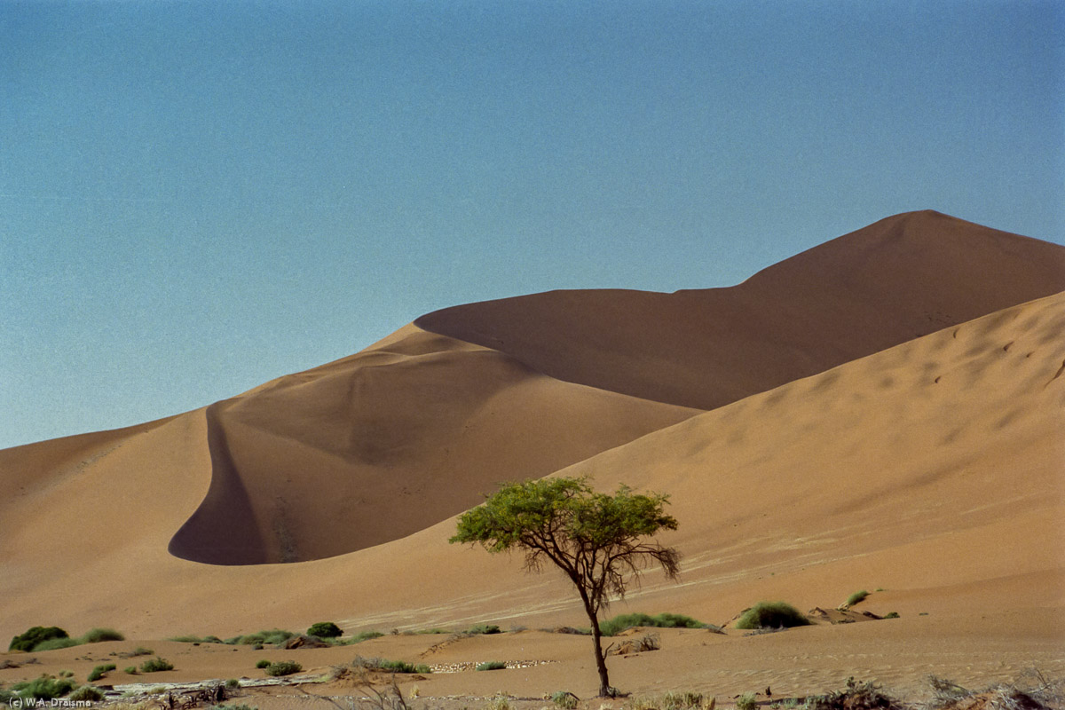While the sun rises higher and higher another dune shows itself in its magnificent splendor.