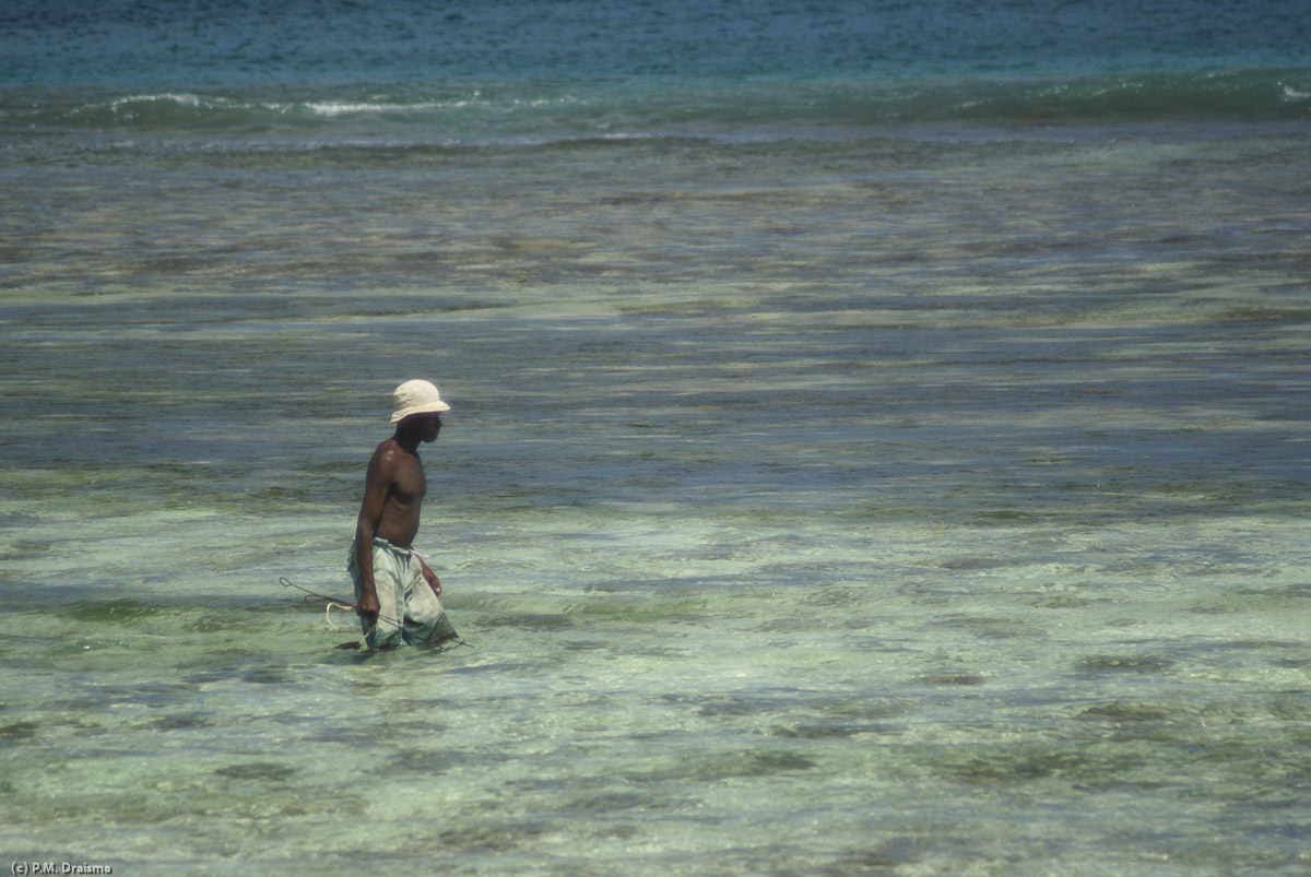 A local fisherman wading through the shallow waters to try some spear fishing.
