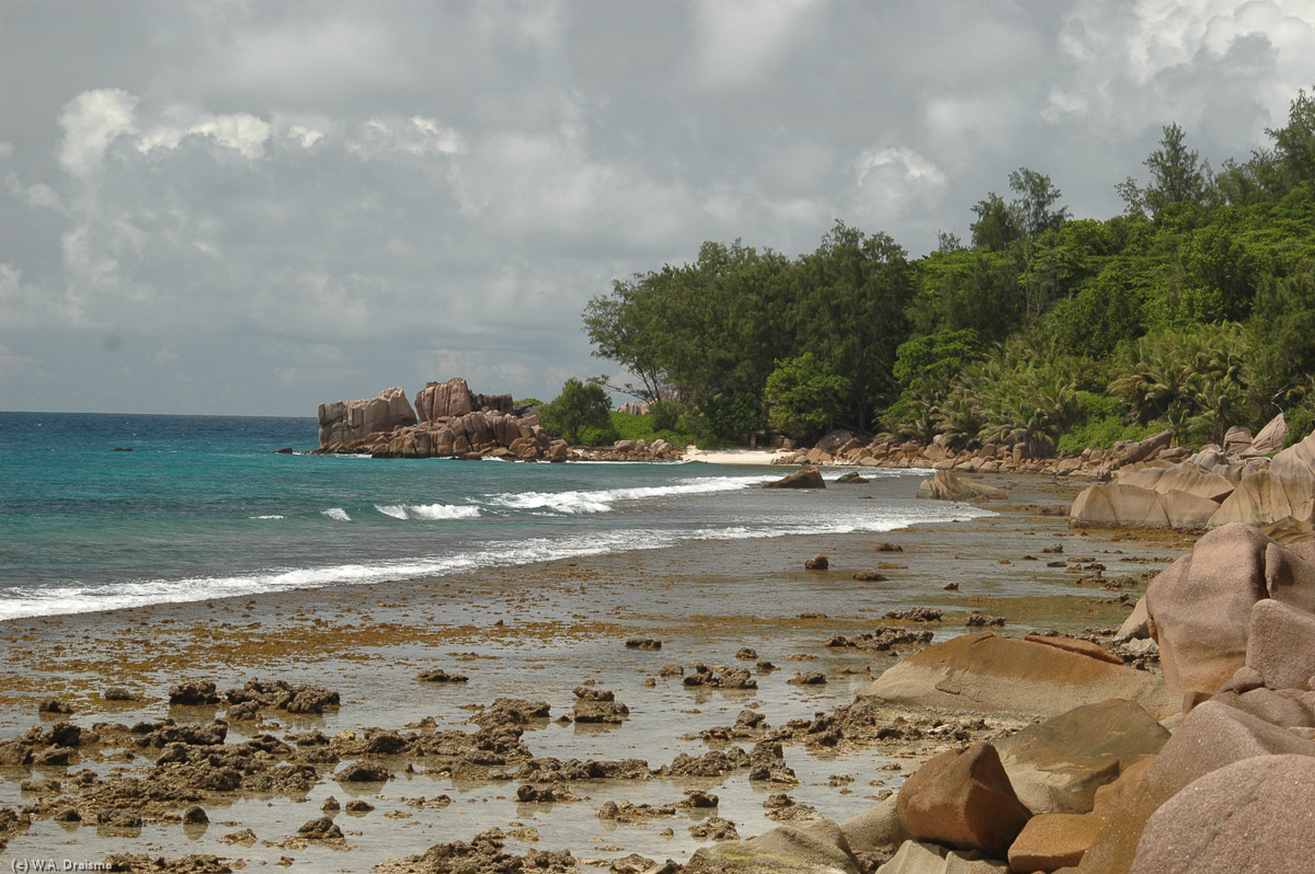 At Anse Fourmis the road ends. Unfortunately no white sandy beach here.