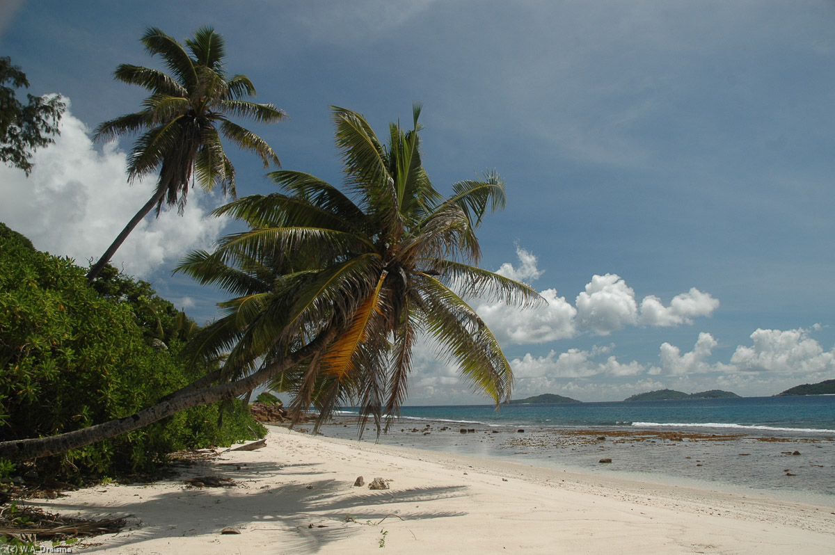 We head back to the tiny settlement of La Passe, La Digue's only village.