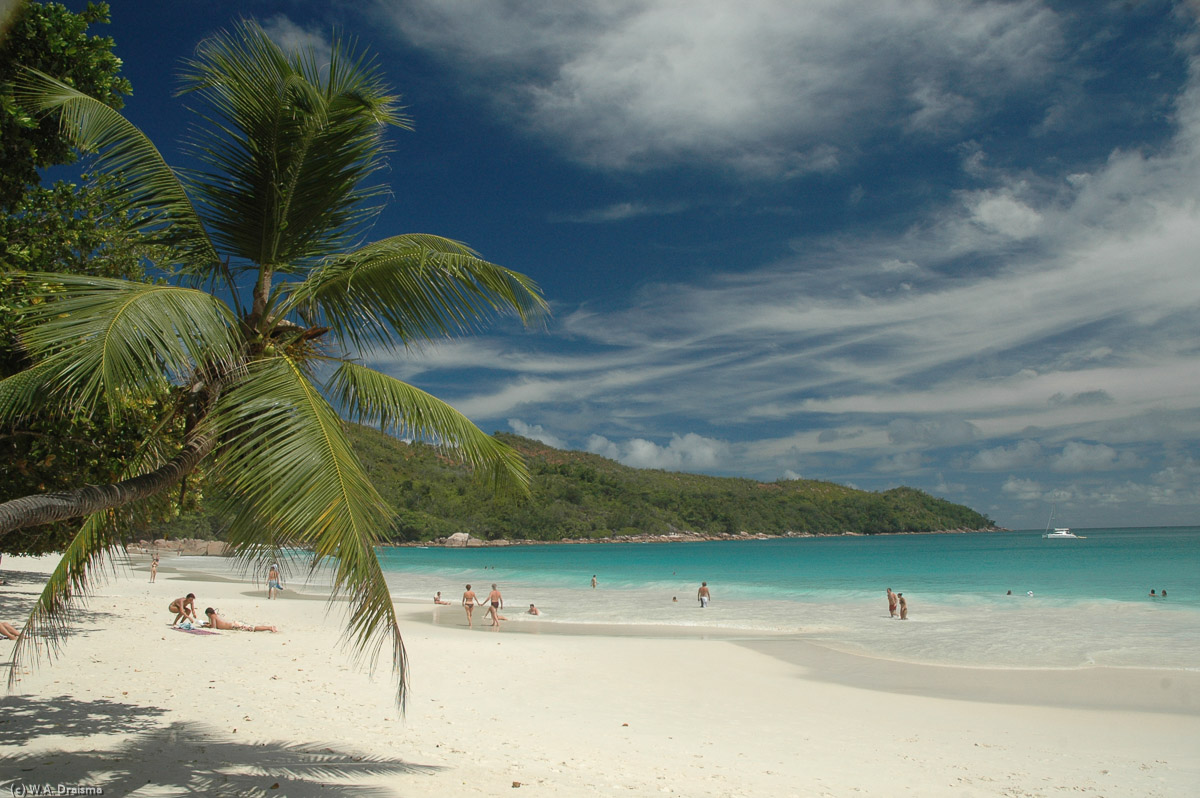 Although Source d'Argent on La Digue is great, Anse Lazio on the northern tip of Praslin isn't bad either.