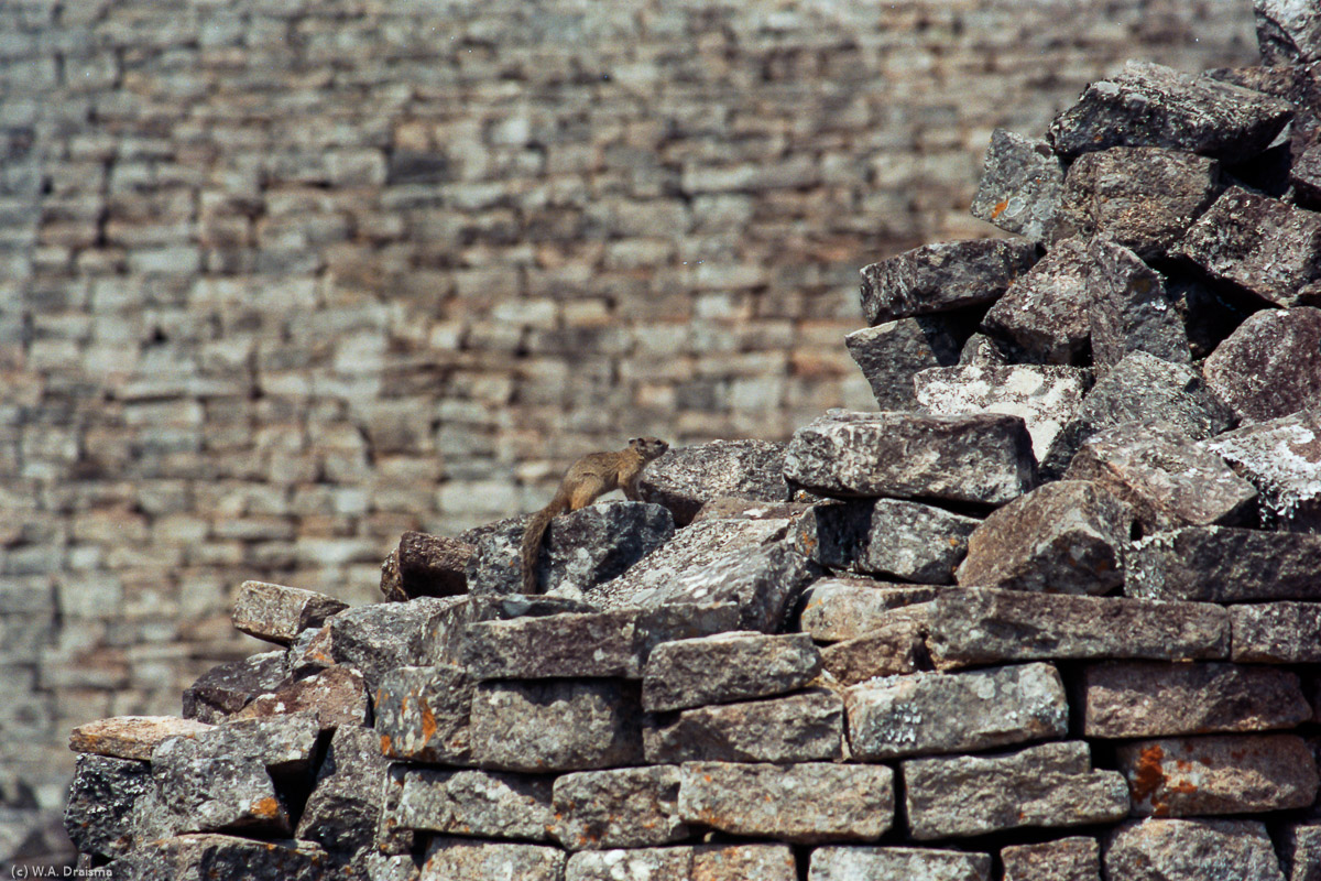 The name Zimbabwe is derived from dzimba-dza-mabwe (large houses of stone) or dzimba-hwe (venerated houses). Artifacts and radiocarbon dating indicate settlement in at least the fifth century, with continuous settlement of Great Zimbabwe between the twelfth and fifteenth centuries. Nowadays there's consensus about its African origin.