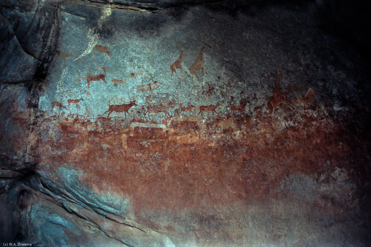 One of these prehistoric caves is Nswatugi Cave, covered with rock paintings from many animals like giraffes, several kudus, two duiker a white leopard and the outline of a zebra.