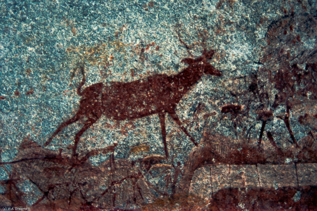 Detail of the rock paintings in Nswatugi Cave: a kudu.