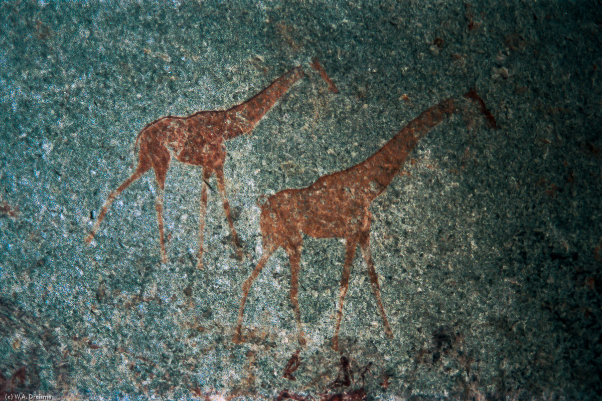 Two giraffes painted in Nswatugi Cave.